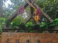 -西双版纳原始森林公园