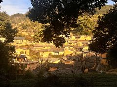 -杨家堂村