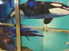 -鹏欣水游城