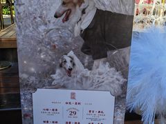 -瑞虹新天地月亮湾