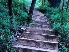 -金龙寺国家森林公园