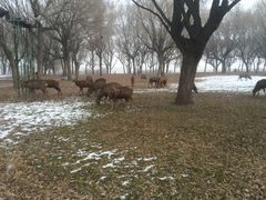 -赛汗塔拉风情园