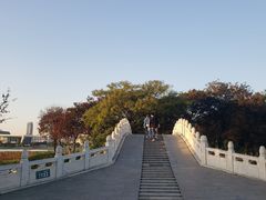 -月湖风景区