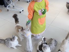 -怪兽屋·羊驼·猫咖·狗咖(俊华广场店)