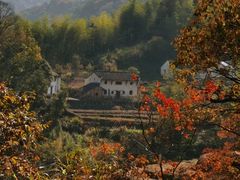 -石台牯牛降景区