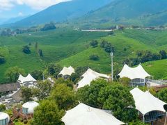 -帐篷客·溪龙茶谷度假酒店