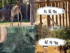 -南昌动物园