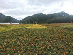 -广州市石门国家森林公园
