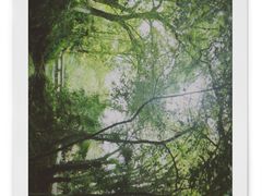 -南山风景名胜区