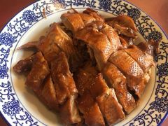 -龙小海荆沙鸽子店(瑞安街店)