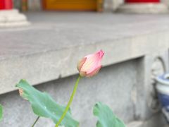 -西安市广仁寺