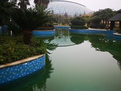 -洪湖悦兮半岛国际温泉度假村