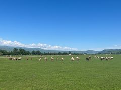 -新疆那拉提国家旅游度假区