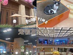 -帕帕拉兹宠物(亚洲旗舰店)