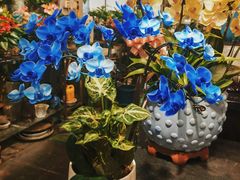 -双季花艺园艺市场(浦东店)