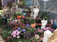 -三圣花乡旅游区