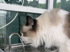 -小时光咖啡馆(北锣鼓巷店)