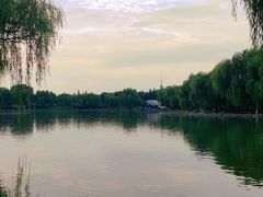 -洛阳市隋唐城遗址植物园