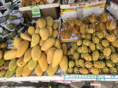 -海南槟榔谷黎苗文化旅游区