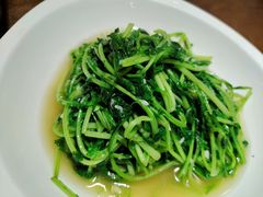 清炒时蔬-洞庭渔人(沙湾店)