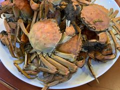稻田蟹-正阳春鸭子楼(汉沽店)