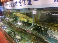水产区-胖姐渔村(中源大道店)