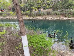 -长白岛森林公园