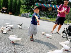 -青岛森林野生动物世界