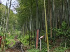 -五泄景区