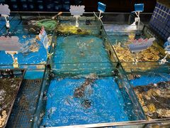 -琼菜人家·海南菜·文昌鸡(文昌大道店)