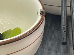 -鸽鸟轩(石岐店)