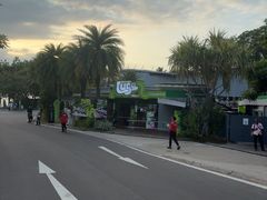 -圣淘沙天际线斜坡滑车