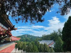 -龙口南山旅游景区