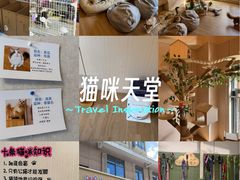 -唐小姐の私宠·宠物洗护美容·撸猫馆·购宠(周浦万达旗舰店)