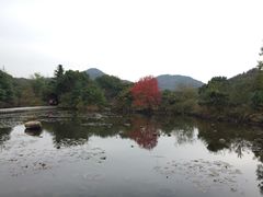 -白马涧龙池景区