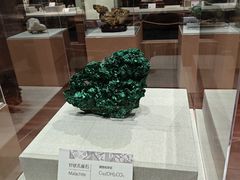 -天津自然博物馆