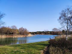 -贡湖湾湿地公园