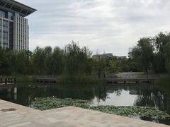 -河南财经政法大学(郑东校区)