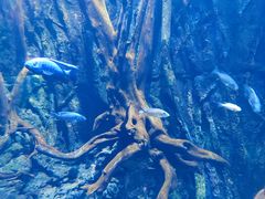 -华夏文旅海洋公园