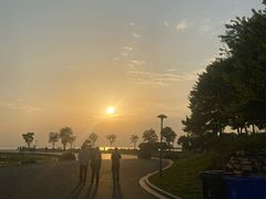 -滆湖低碳生态公园