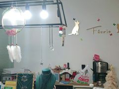 -翡翠森林宠物火化殡葬(通州店)