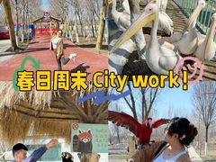 -水上乐园·欢乐世界