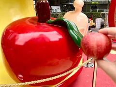 -福田卓悦INTOWN购物中心