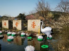 -香雪海
