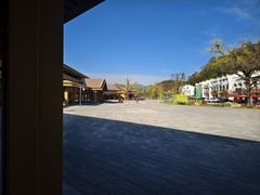 -千年银杏谷文化旅游区