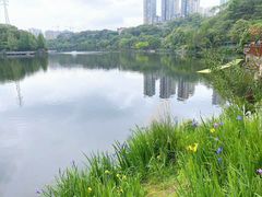 -重庆彩云湖湿地公园
