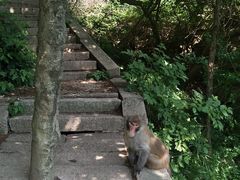 -崂山巨峰游览区