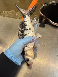 -巡鱼道·室内垂钓·渔具店