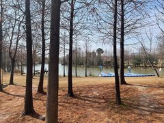 -上海长兴岛郊野公园