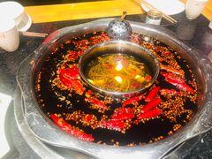 红汤锅底-一斗火锅·招财羊毛肚(泰吉滨江店)